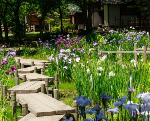 ゴールデンウィーク